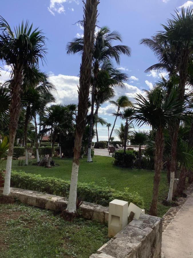 Beachaccess Hotelzone 3705 Cancún Buitenkant foto